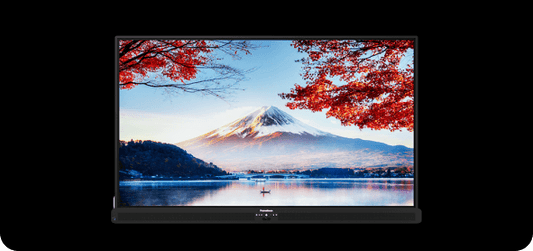 Promethean ActivPanel 10 Premium 65-Inch 4K Interactive Display